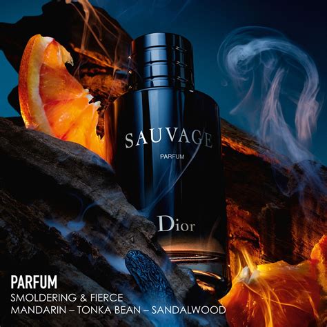 harga sauvage dior parfum|dior sauvage unisex.